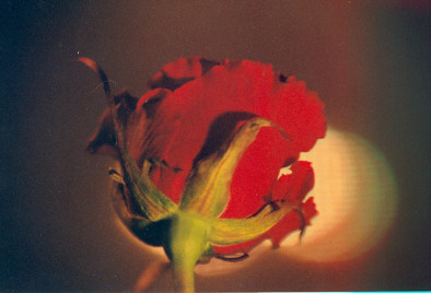 Fot. Krzysiek Niesporek